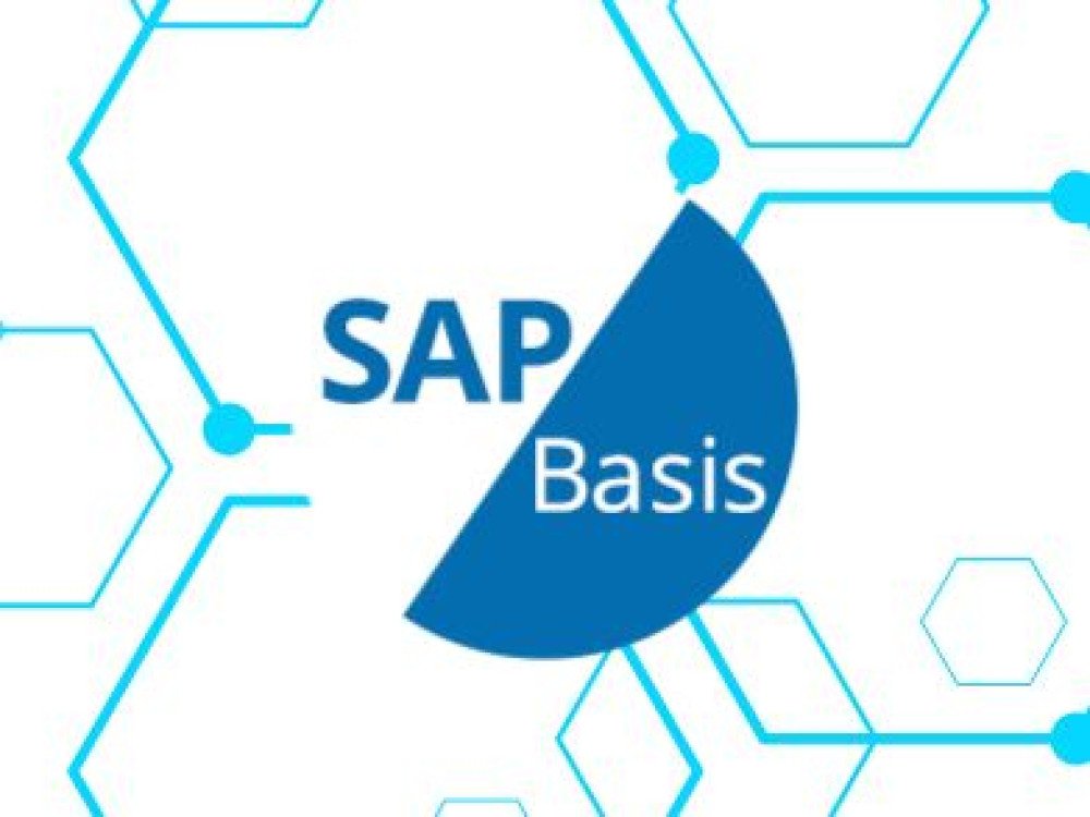 SAP Basics